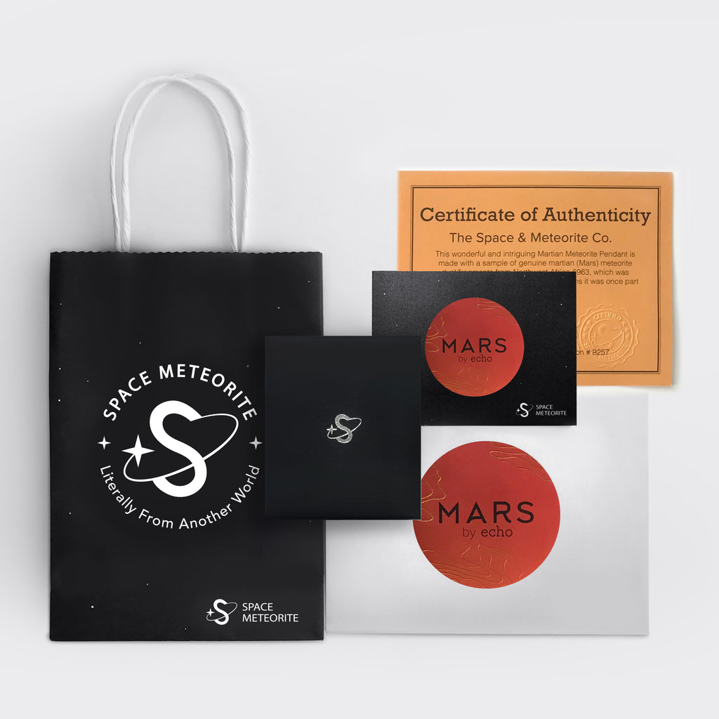 Authentic Mars Rock Blossom Series Earrings (From Martian Meteorite NW ...